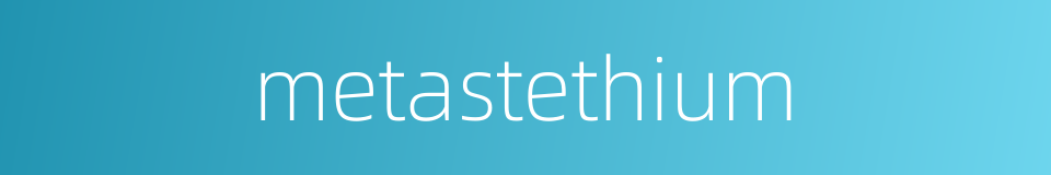 metastethium的同义词