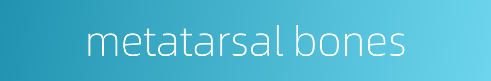 metatarsal bones的同义词