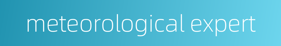 meteorological expert的同义词