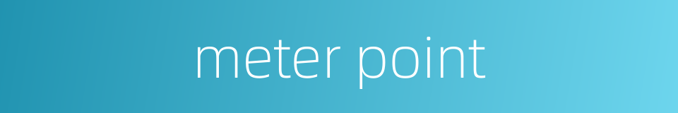 meter point的同义词