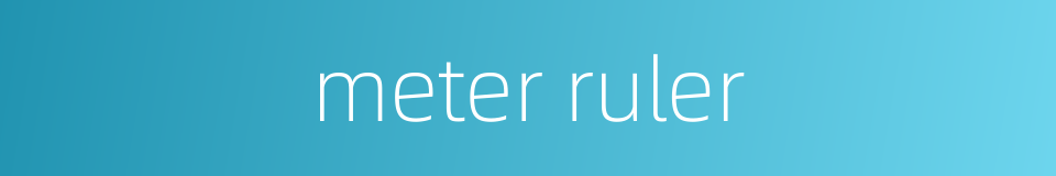 meter ruler的同义词