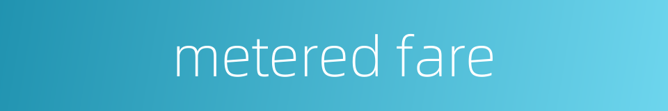 metered fare的同义词