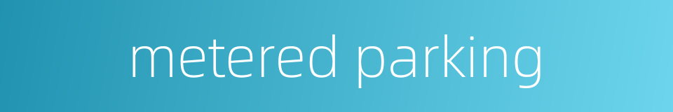 metered parking的同义词