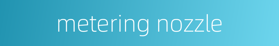 metering nozzle的同义词