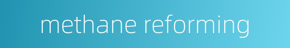 methane reforming的同义词