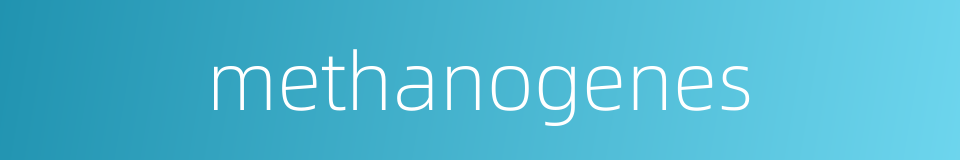 methanogenes的同义词