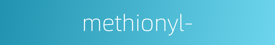methionyl-的同义词