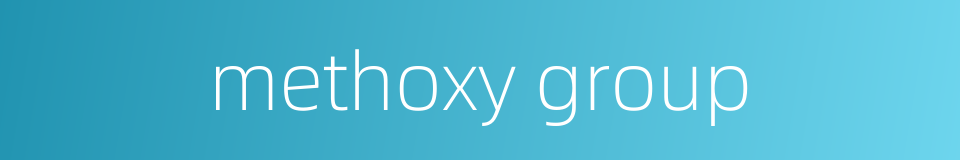 methoxy group的同义词