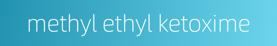 methyl ethyl ketoxime的同义词