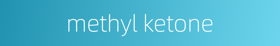 methyl ketone的同义词
