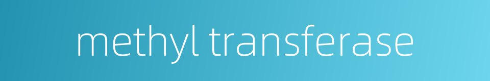 methyl transferase的同义词
