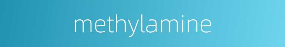 methylamine的同义词