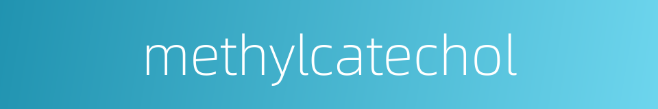methylcatechol的同义词