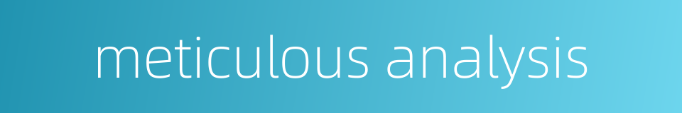 meticulous analysis的同义词