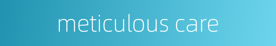 meticulous care的同义词