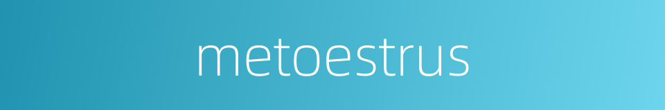 metoestrus的同义词