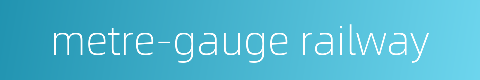 metre-gauge railway的同义词