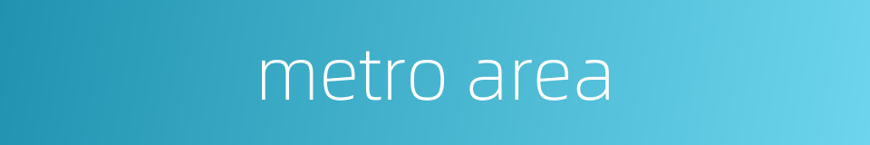 metro area的同义词