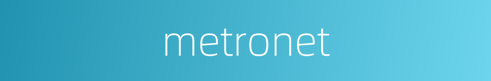 metronet的同义词