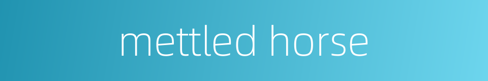 mettled horse的同义词