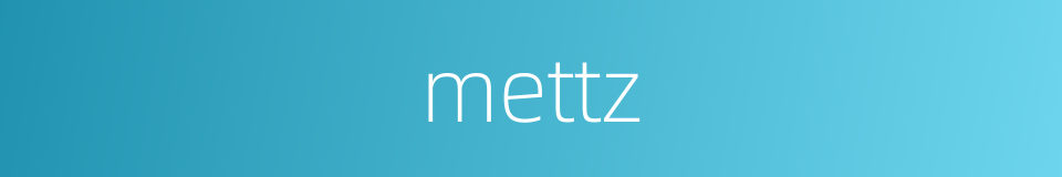 mettz的同义词