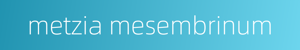 metzia mesembrinum的同义词