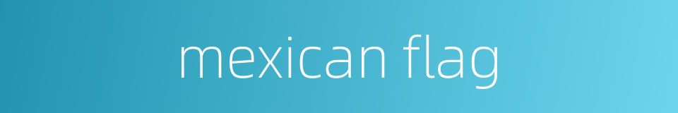 mexican flag的同义词