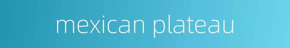 mexican plateau的同义词
