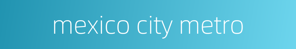mexico city metro的同义词