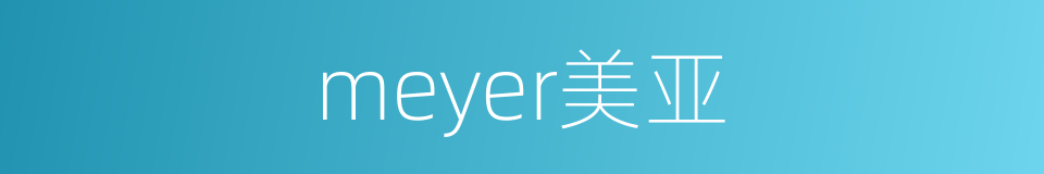 meyer美亚的同义词