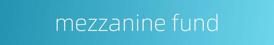 mezzanine fund的同义词