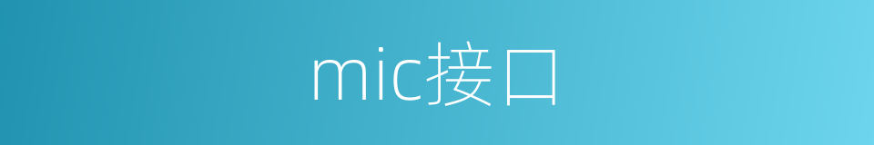 mic接口的同义词