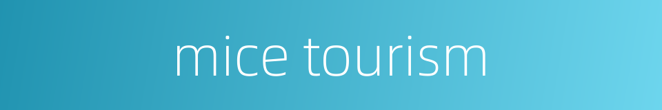 mice tourism的同义词