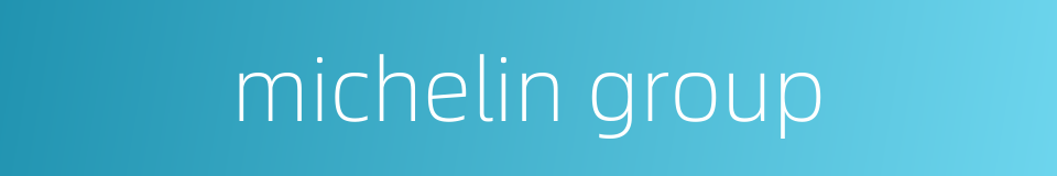 michelin group的同义词