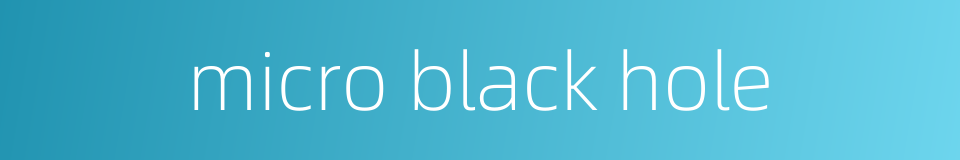 micro black hole的同义词