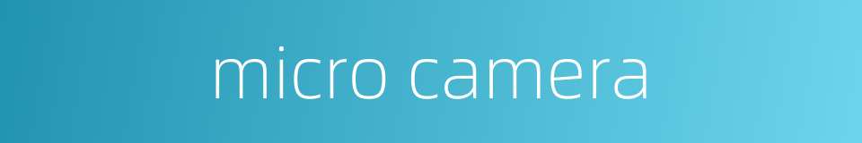 micro camera的同义词