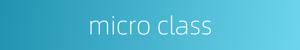 micro class的同义词
