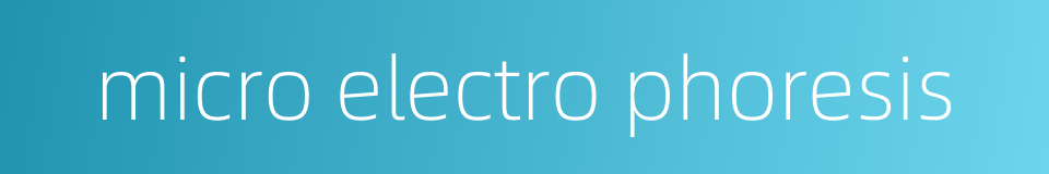 micro electro phoresis的同义词
