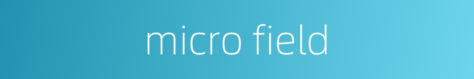 micro field的同义词