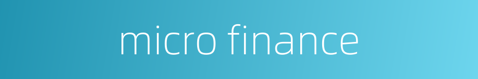 micro finance的同义词