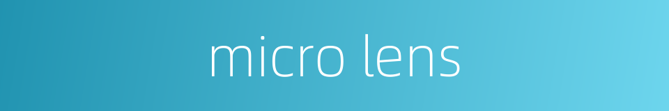 micro lens的同义词