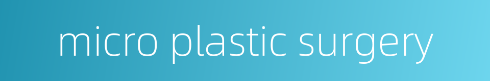micro plastic surgery的同义词