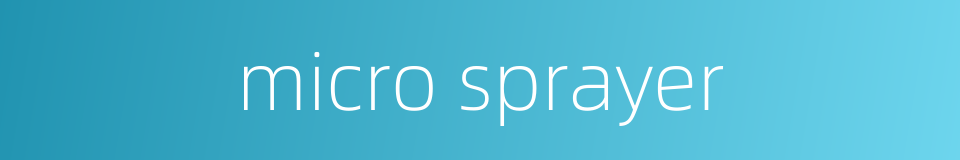 micro sprayer的同义词