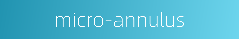 micro-annulus的同义词