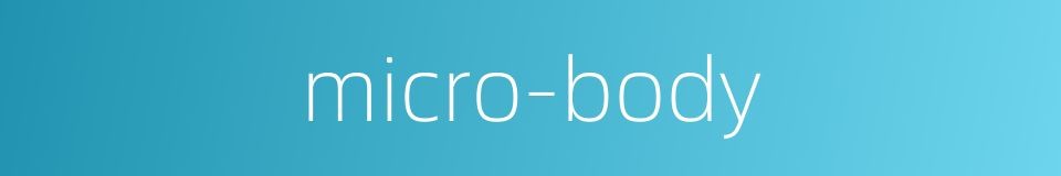 micro-body的同义词
