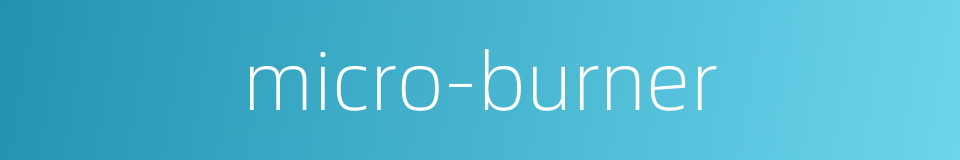 micro-burner的同义词