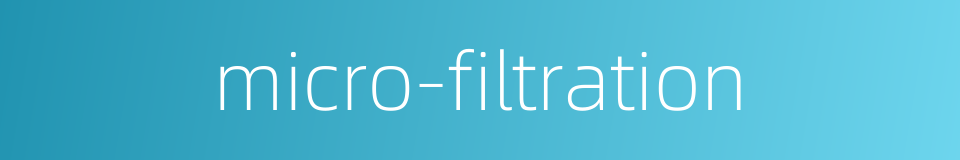 micro-filtration的同义词