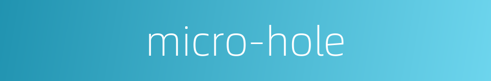 micro-hole的同义词