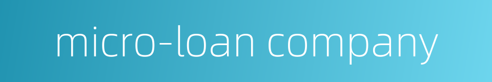 micro-loan company的同义词
