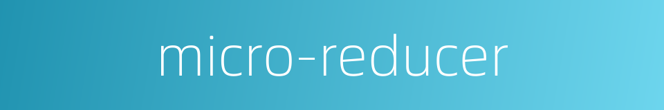 micro-reducer的同义词